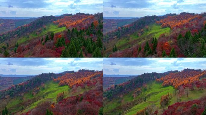 4K秋天色彩五花山光雾山秋景风光自然新疆