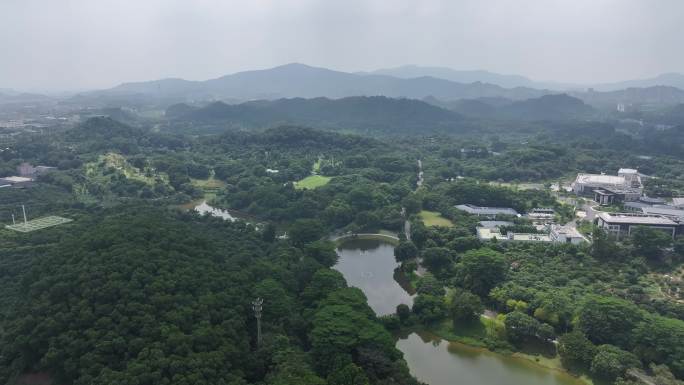 广东省东莞市南城街道东莞植物园航拍