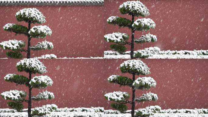 大雪映衬着红色的城墙
