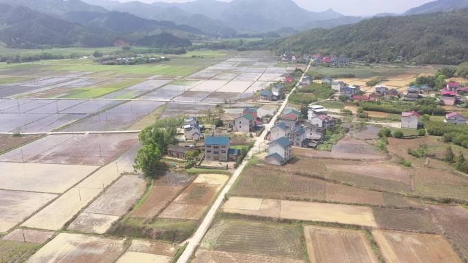 农田高标准农田乡村