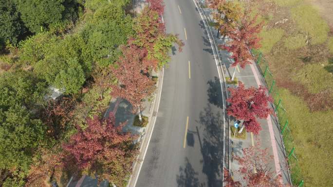 【高清素材】苏州天平山秋景