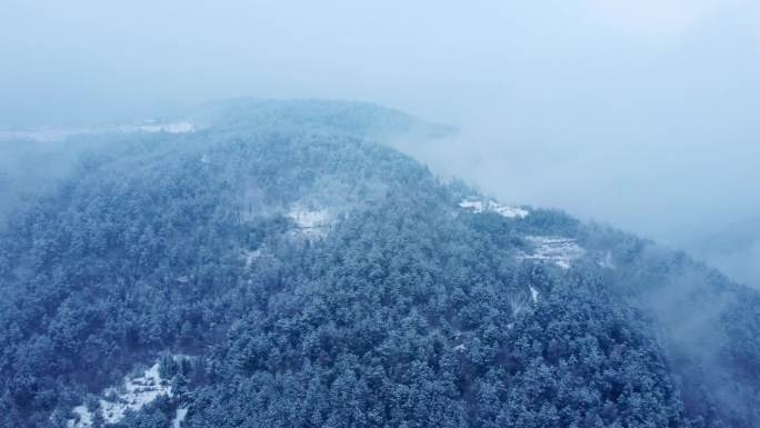 静谧美丽 冬季森林雪景