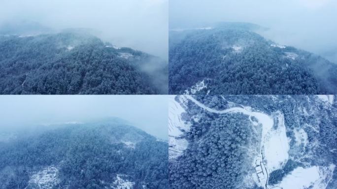 静谧美丽 冬季森林雪景