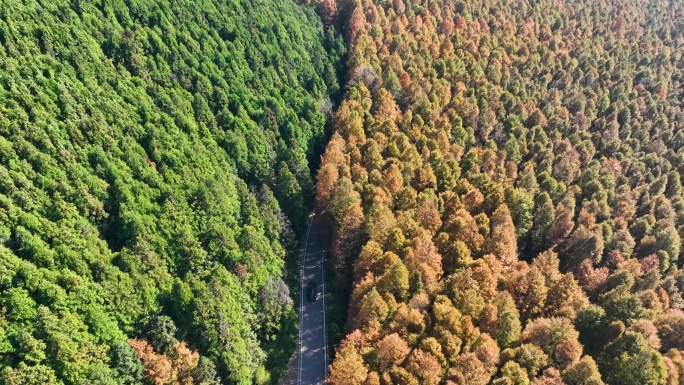 重庆南川山王坪航拍4K