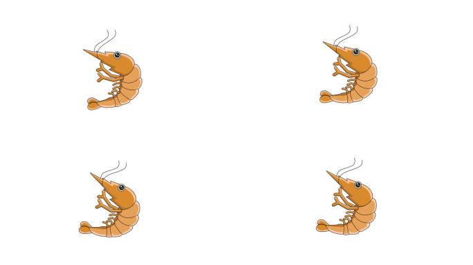 虾图标的动画视频