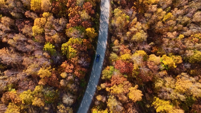 4K汽车在森林中行驶秋天自驾旅行