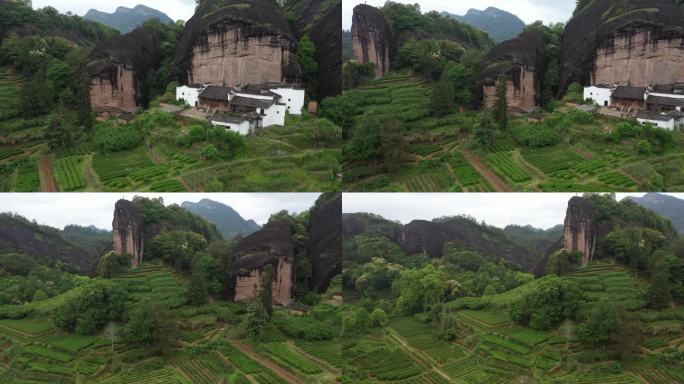 航拍武夷山茶山