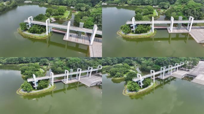 广东省东莞市南城街道东莞植物园航拍