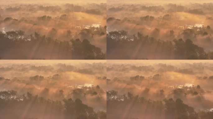 航拍杭州西溪湿地 云雾缭绕 唯美耶稣光