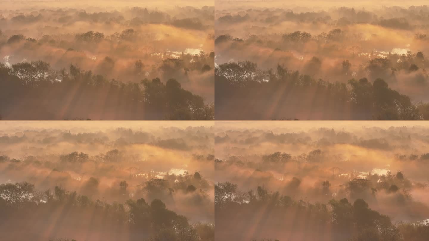 航拍杭州西溪湿地 云雾缭绕 唯美耶稣光