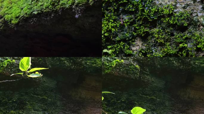 山岩苔藓水滴青苔素材