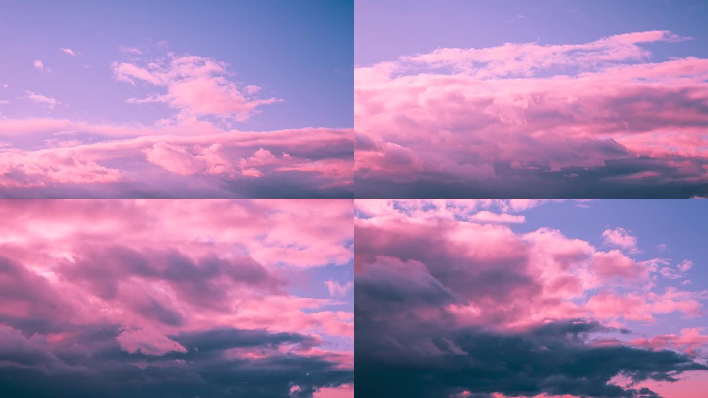 不寻常的天空背景。彩色多云品红色天空与蓬松的云。4k延时调蓝粉红色品红色天空日落日出背景。淡洋红色调