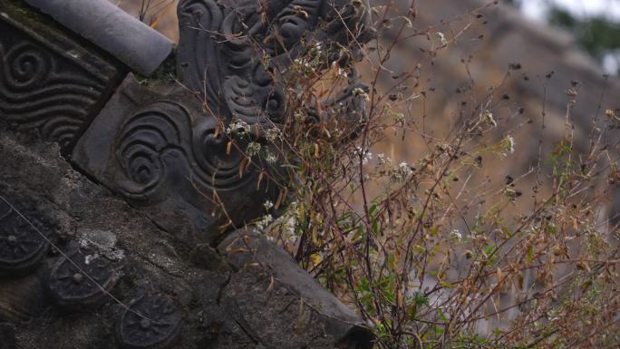 西安卧佛寺山顶寺庙