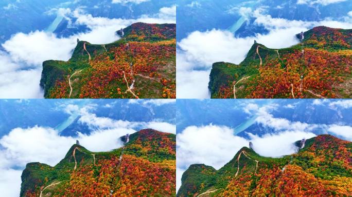 大气三峡红叶航拍