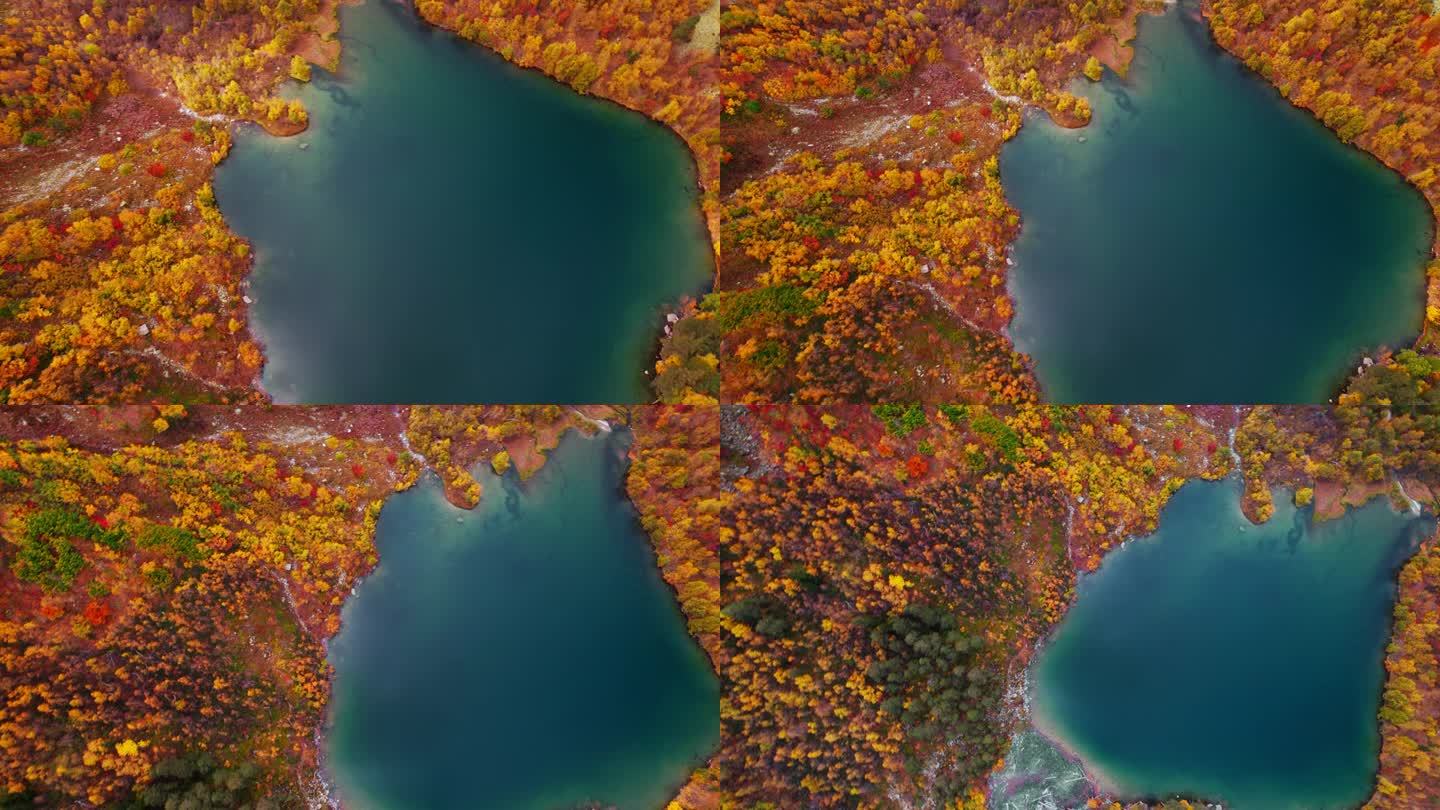 鸟瞰图，美丽的蓝色湖泊和红色和黄色的森林在秋天的岸边，俯视图