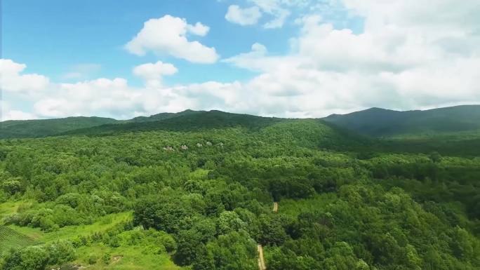 森林 蓝天 白云 农田 绿水青山