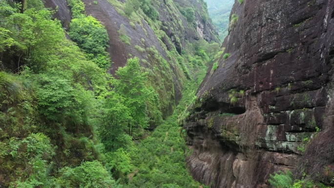 航拍武夷山茶山