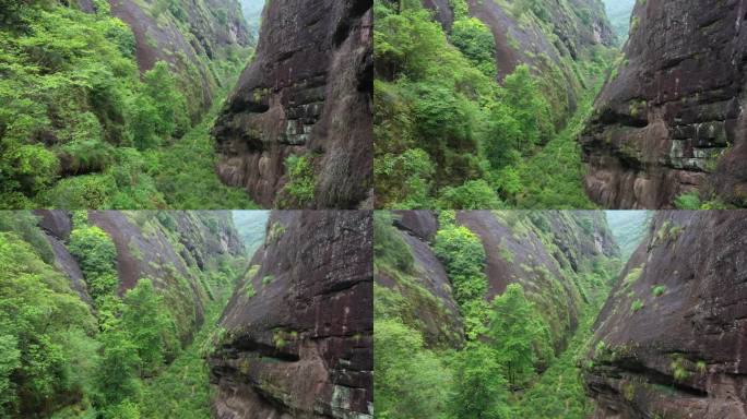 航拍武夷山茶山