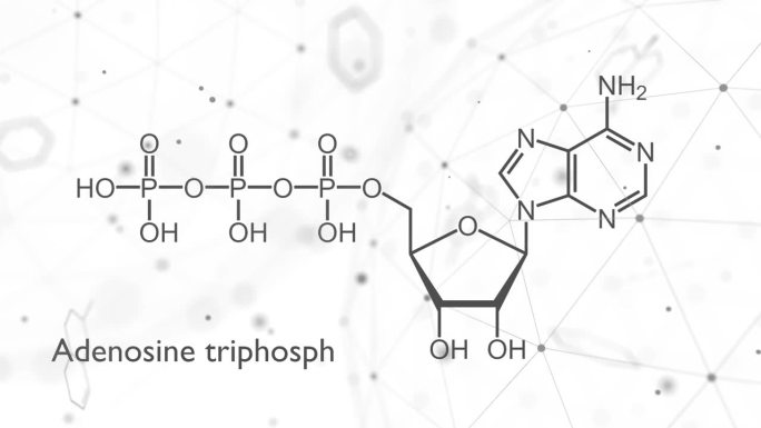 三磷酸腺苷或ATP分子，是细胞内的能量传递，是RNA合成所必需的。结构化学式