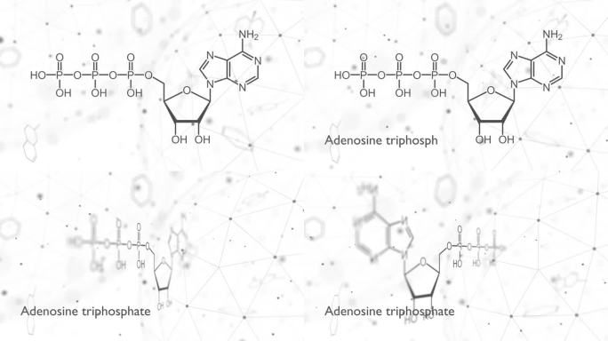 三磷酸腺苷或ATP分子，是细胞内的能量传递，是RNA合成所必需的。结构化学式