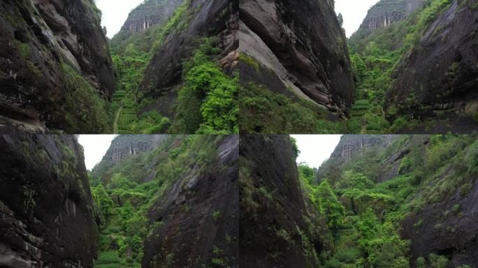 航拍武夷山茶山