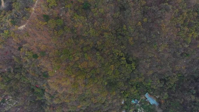 秦岭山脉秋季风景