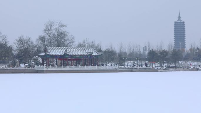 西海子公园下雪小雪冬天
