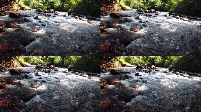 河溪瀑布在森林景观。
