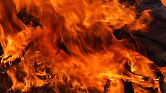露营区干燥树枝燃烧的火焰。