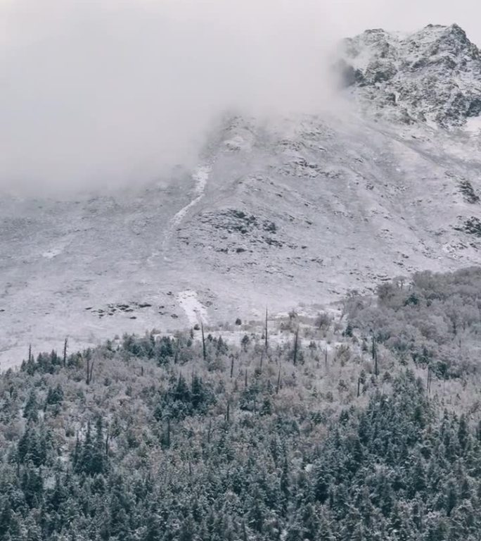 冬天的安纳普尔纳山脉