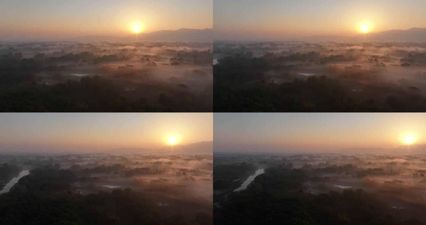 杭州西溪湿地初冬晨雾云雾缭绕 稀缺空境