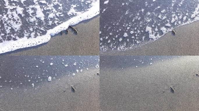 在沙滩的背景下，海浪的泡沫写在沙滩上的恐惧