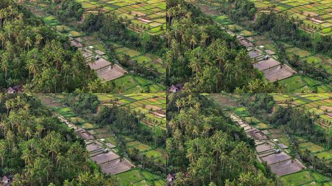 近距离无人机拍摄的稻田梯田日落场景，前景，巴厘岛，印度尼西亚。