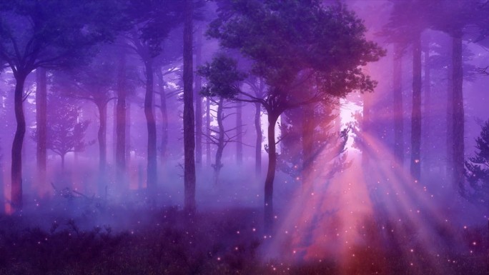 黄昏时雾气朦胧的夜林中神奇的仙女灯