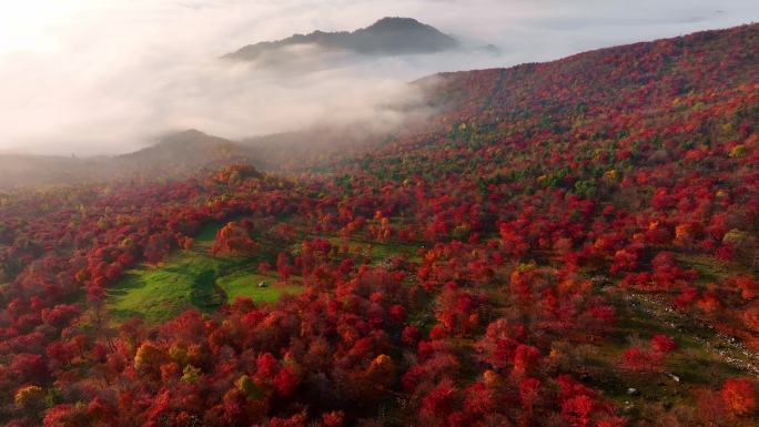 秋天五花山吉林东北秋景日出云海云雾逆光