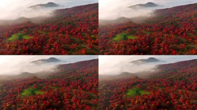 秋天五花山吉林东北秋景日出云海云雾逆光