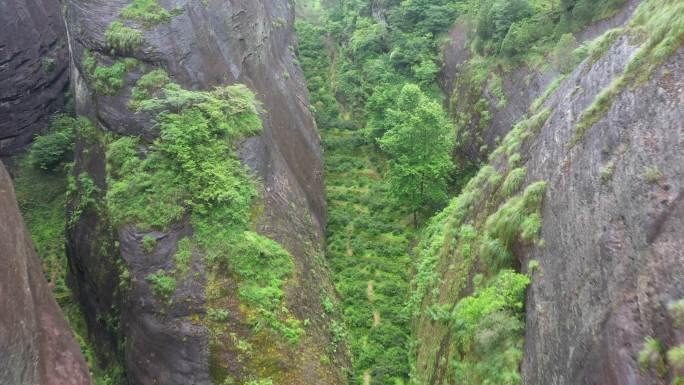 航拍武夷山茶山