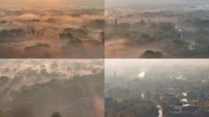 杭州西溪湿地初冬晨雾云雾缭绕 稀缺合集