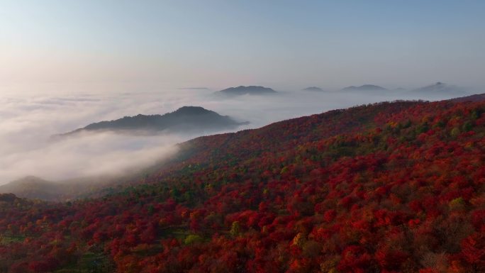 秋天五花山吉林东北秋景日出云海云雾逆光