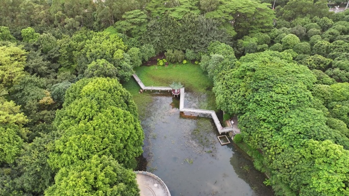 广东省东莞市黄旗山城市公园航拍