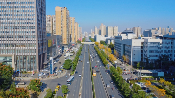 高楼车流交通城市街道大楼