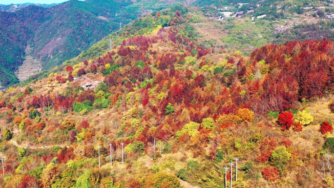 天台山国清寺山顶，金地岭，霞客古道