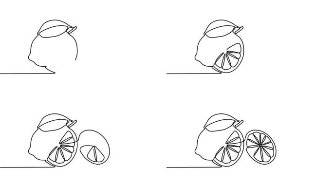 柠檬水果动画视频与切割柠檬水果在连续的线条艺术绘画风格。