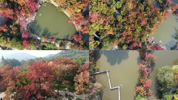 【高清素材合集】航拍苏州天平山红枫