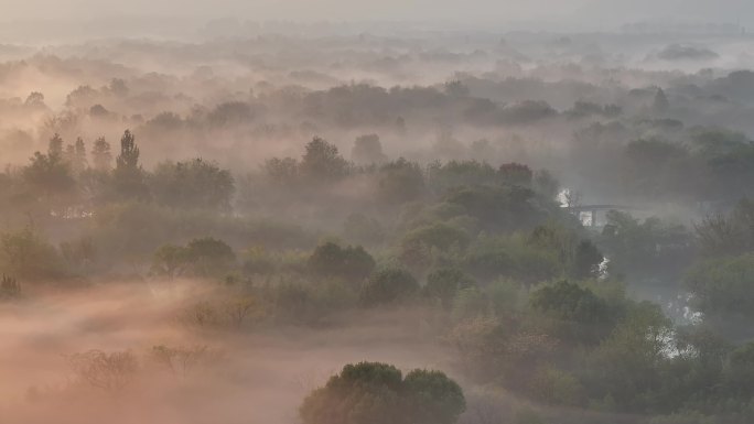 杭州西溪湿地初冬晨雾云雾缭绕 稀缺空境