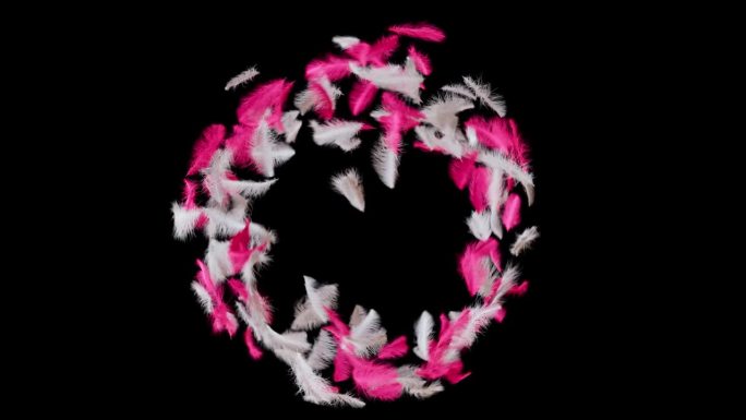 白色和粉红色的羽毛以圆周运动旋转。