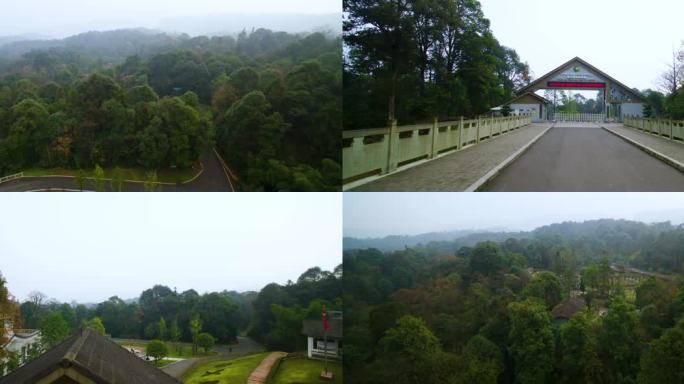 四川雅安大熊猫保护研究中心碧峰峡景区