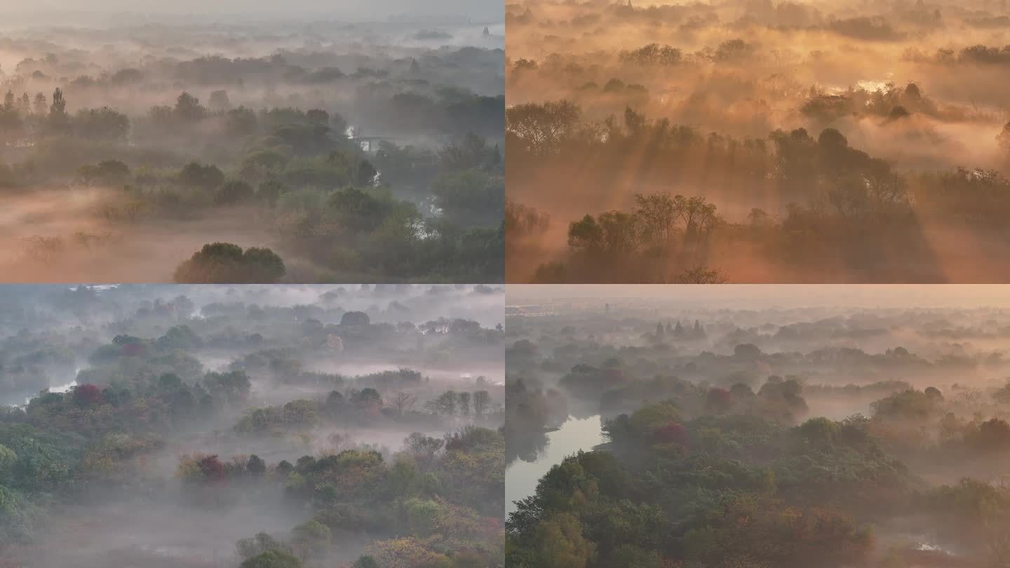 中国杭州西溪湿地云雾缭绕宛如仙境合集