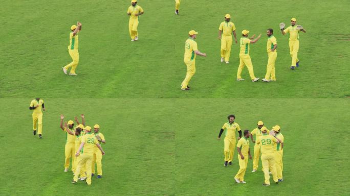 身着黄色制服的南亚板球队庆祝战胜对手。投球手和投球手击掌，互相拥抱，欢呼。体育广播频道电视播放