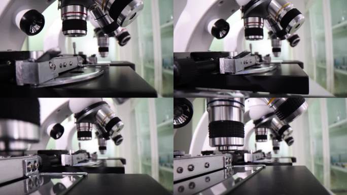 技术展上一排排的专业显微镜镜头